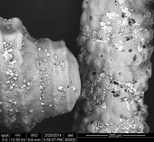 Textured Sand Grains from Vanuata, South Pacific