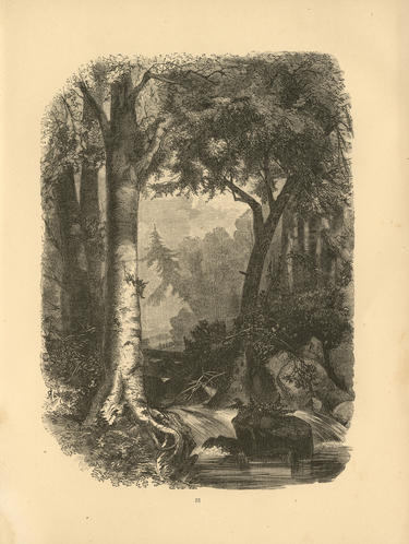 1836-1867:   “The Island of Wilderness”