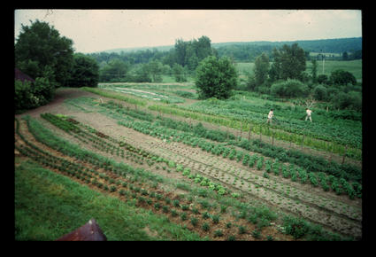 View of the Fields