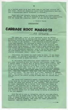 Cabbage Root Maggots... An Update