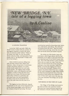 New Bridge, NY:  Tale of a Logging Town