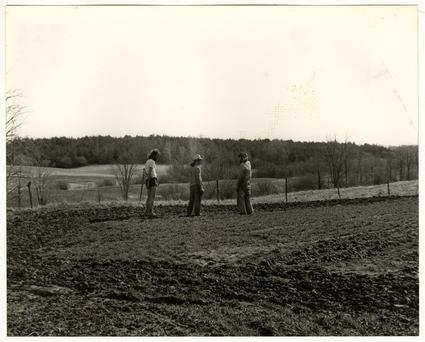 Three men standing in field