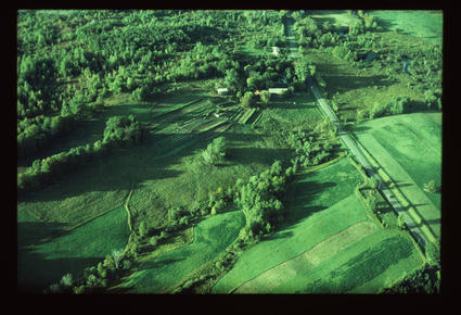 Aerial Photograph of Gardens 